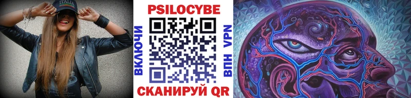 Псилоцибиновые грибы Psilocybe  Северодвинск 